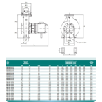     Bombas PSH Aquatic Park AP 50-315/C, 5,5kW, 380V