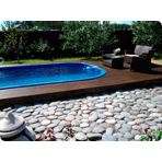    Ocean Premium  1037 10.3x3.7x1.5  :  