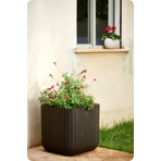   () Keter CUBE PLANTER L, 50,5,   521