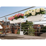   () Lechuza () Balconera Color 80 -