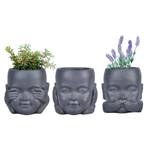   () Idealist Face Planter  (KID-FP-TWO-LG-24)