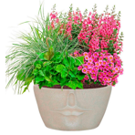   () Idealist Face Planter  (FFP-BEG-30)