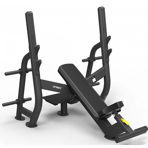   Spirit Fitness SP-4210      