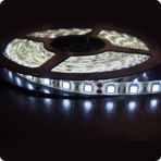   12  Neon-Night IP65, SMD 5050, 60 /, 