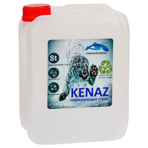       Kenaz  ,  5 